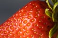 Beautiful fresh red strawberry on gray background macro close up texture Royalty Free Stock Photo