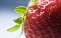 Beautiful fresh red strawberry on gray background macro close up texture Royalty Free Stock Photo