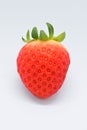 beautiful fresh red strawberry isolated on white background Royalty Free Stock Photo