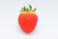 beautiful fresh red strawberry isolated on white background Royalty Free Stock Photo