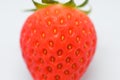 beautiful fresh red strawberry  on white background Royalty Free Stock Photo