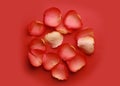 Beautiful fresh rose petals on red background, flat lay Royalty Free Stock Photo