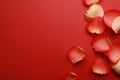 Beautiful fresh rose petals on red background, flat lay. Space for text Royalty Free Stock Photo
