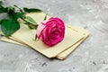 Beautiful fresh roses Royalty Free Stock Photo