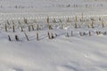 beautiful fresh snow after a snowfall in clear weather Royalty Free Stock Photo