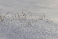 beautiful fresh snow after a snowfall in clear weather Royalty Free Stock Photo