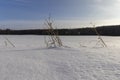 beautiful fresh snow after a snowfall in clear weather Royalty Free Stock Photo