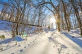 Beautiful fresh snow in winter Royalty Free Stock Photo