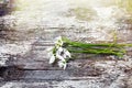 Beautiful fresh snowdrops on dark background Royalty Free Stock Photo