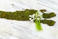 Beautiful fresh snowdrops on wooden background Royalty Free Stock Photo