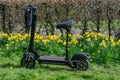 Beautiful fresh spring daffodils out in the Springtime and electric scooter