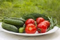 Beautiful fresh tasty vegetables from the garden lie on a plate on a white table. Cucumbers, tomatoes, onions, dill Royalty Free Stock Photo