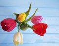 Beautiful fresh tulips on vase blue wooden, place for text Royalty Free Stock Photo