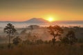 Beautiful fresh viewpoint Tung Salang Luang, Thailand