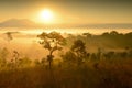 Beautiful fresh viewpoint Tung Salang Luang, Thailand