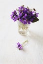 Beautiful fresh violets on white table