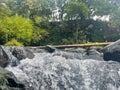 Beautiful fresh water river with rocks,bamboo and green trees