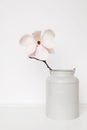 Beautiful fresh white magnolia flower in full bloom in vase. Royalty Free Stock Photo