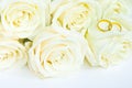 Beautiful fresh white roses with gold rings, wedding concept