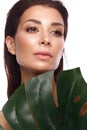 Beautiful fresh woman with perfect skin, natural make up and green leaves. Beauty face. Royalty Free Stock Photo