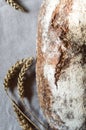 Beautiful freshly baked rustic bread and ears of wheat Royalty Free Stock Photo