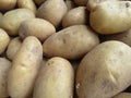 Beautiful freshly drawn potatoes from the earth natural ready to be cooked