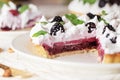 Beautiful freshly made berry meringue tart decorated with mint leaves on plate. Stunning Blackberry meringue pie still life