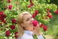 Beautiful freshness. Pretty girl at blossoming rose bush. girl with red flowers in summer garden. Adorable girl Royalty Free Stock Photo