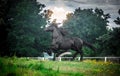 Black Friesian stallion Royalty Free Stock Photo