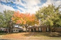 Beautiful front yard of typical single family houses near Dallas in fall season colorful leaves Royalty Free Stock Photo