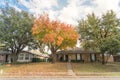Beautiful front yard of typical single family houses near Dallas in fall season colorful leaves