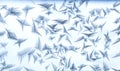 Beautiful frost patterns in the ice feather shape on frozen window as a symbol of Christmas wonder. Christmas or New year Royalty Free Stock Photo