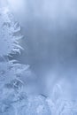 Beautiful frostwork on a window Royalty Free Stock Photo