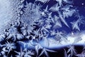 frosty pattern with various ornate patterns on transparent glass on winter window