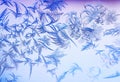 Beautiful frosty pattern with various ornate patterns on the transparent glass on the winter window in delicate lilac and blue