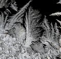 beautiful frosty patterns on the window glass Royalty Free Stock Photo