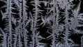 beautiful frosty patterns on the window glass Royalty Free Stock Photo