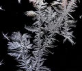 beautiful frosty patterns on the window glass Royalty Free Stock Photo