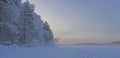 Beautiful frosty winter day, snow-covered trees.