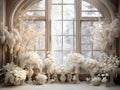 beautiful frozen Garden background for photo manipulation , empty , white flowers , big windows, in the middle room for copy , Royalty Free Stock Photo