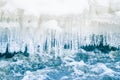 A beautiful frozen icicles at the bank of river in Latvia. Royalty Free Stock Photo