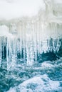 A beautiful frozen icicles at the bank of river in Latvia. Royalty Free Stock Photo