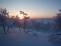 Beautiful frozen trees in northern lappland Royalty Free Stock Photo