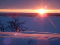 Beautiful frozen trees in northern lappland Royalty Free Stock Photo