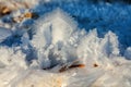 Beautiful frozen winter leaf pattern closeup