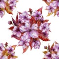 Beautiful fruit tree flowers in round bunches on white background. Spring blossom. Seamless floral pattern. Watercolor painting.