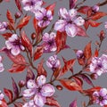 Beautiful fruit tree twigs in bloom on gray background. Lilac flowers and red leaves. Spring blossom. Seamless floral pattern.