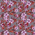 Beautiful fruit tree twigs in bloom on gray background. Lilac flowers and red leaves. Spring blossom. Seamless floral pattern.