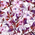 Beautiful fruit tree twigs in bloom. White and pink flowers and purple leaves. Spring background. Seamless floral pattern.