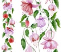 Beautiful fuchsia flowers on climbing twigs in straight lines on white background. Seamless floral pattern. Watercolor painting.